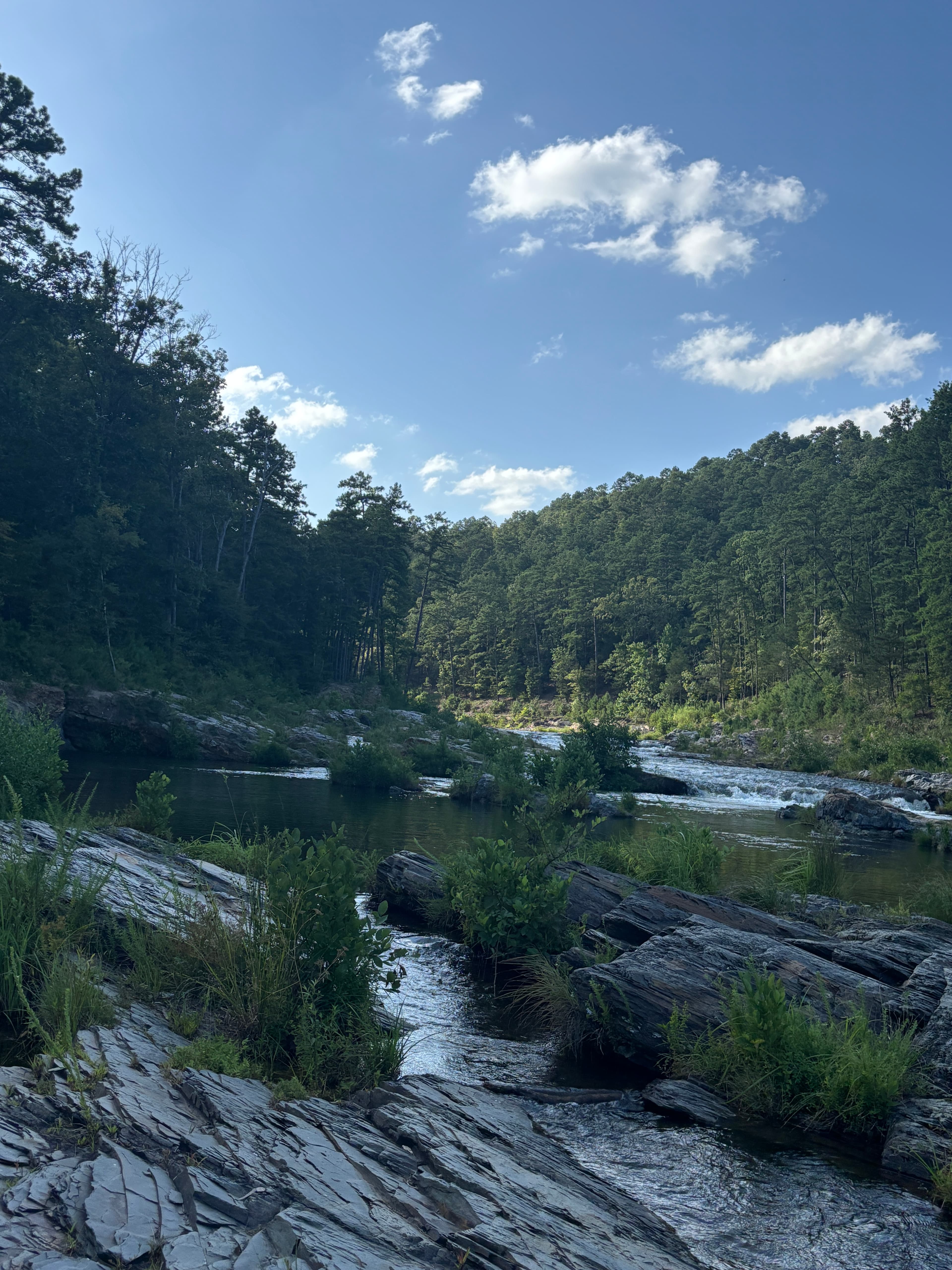 Friends Trail photo 3