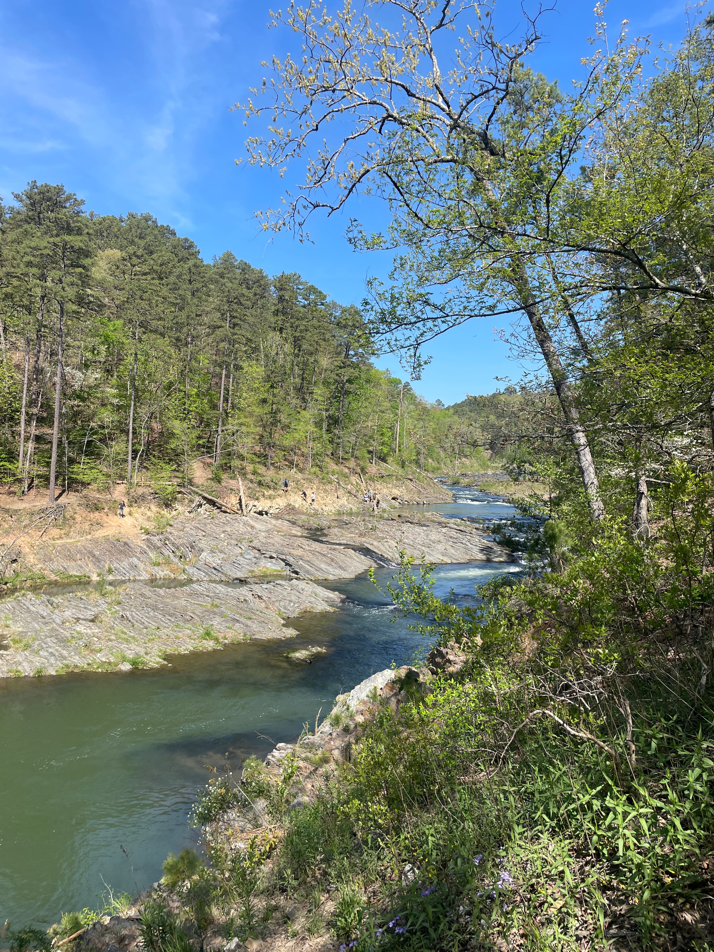 Friends Trail photo 4