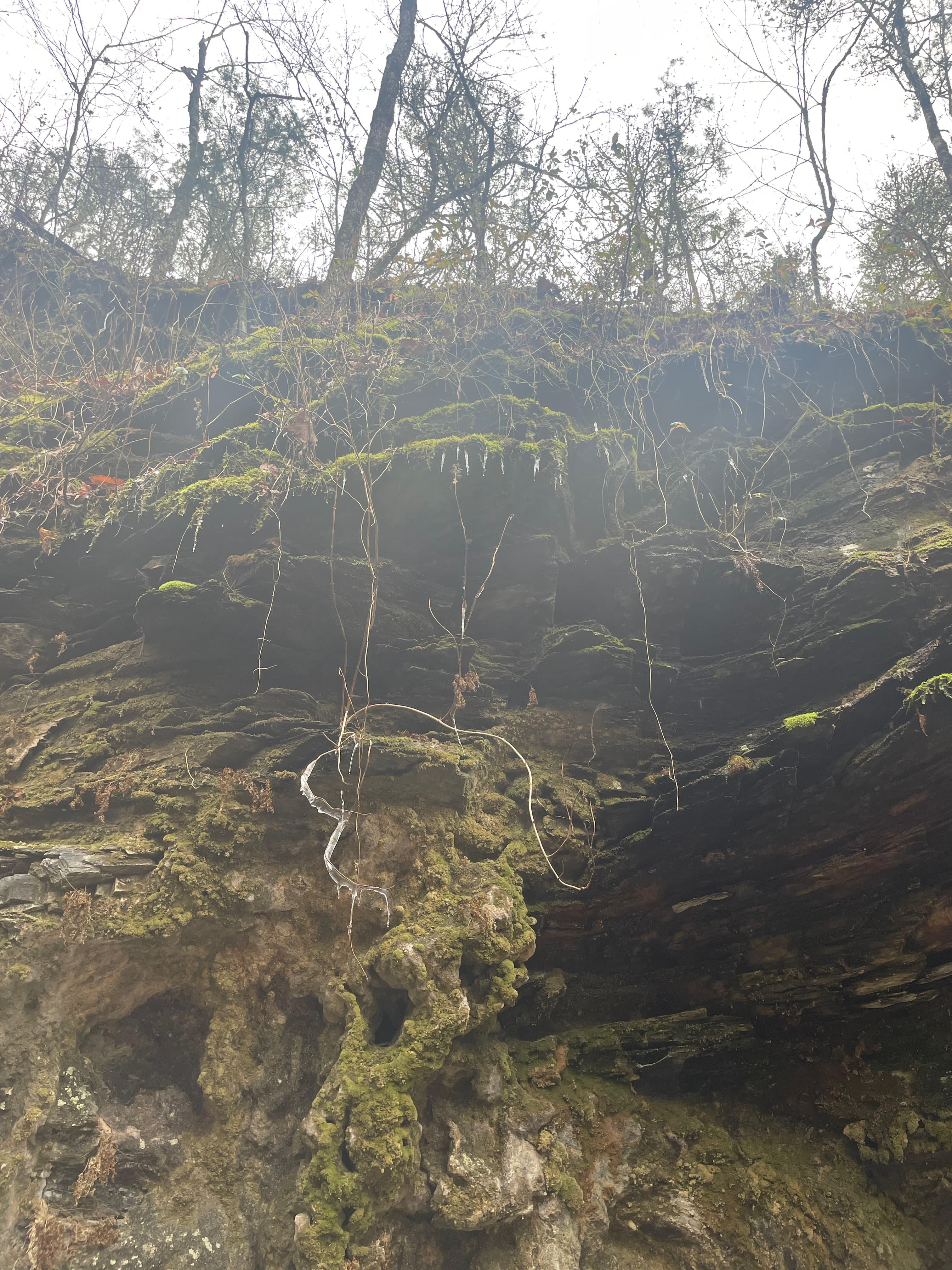 Skyline Trail photo 3