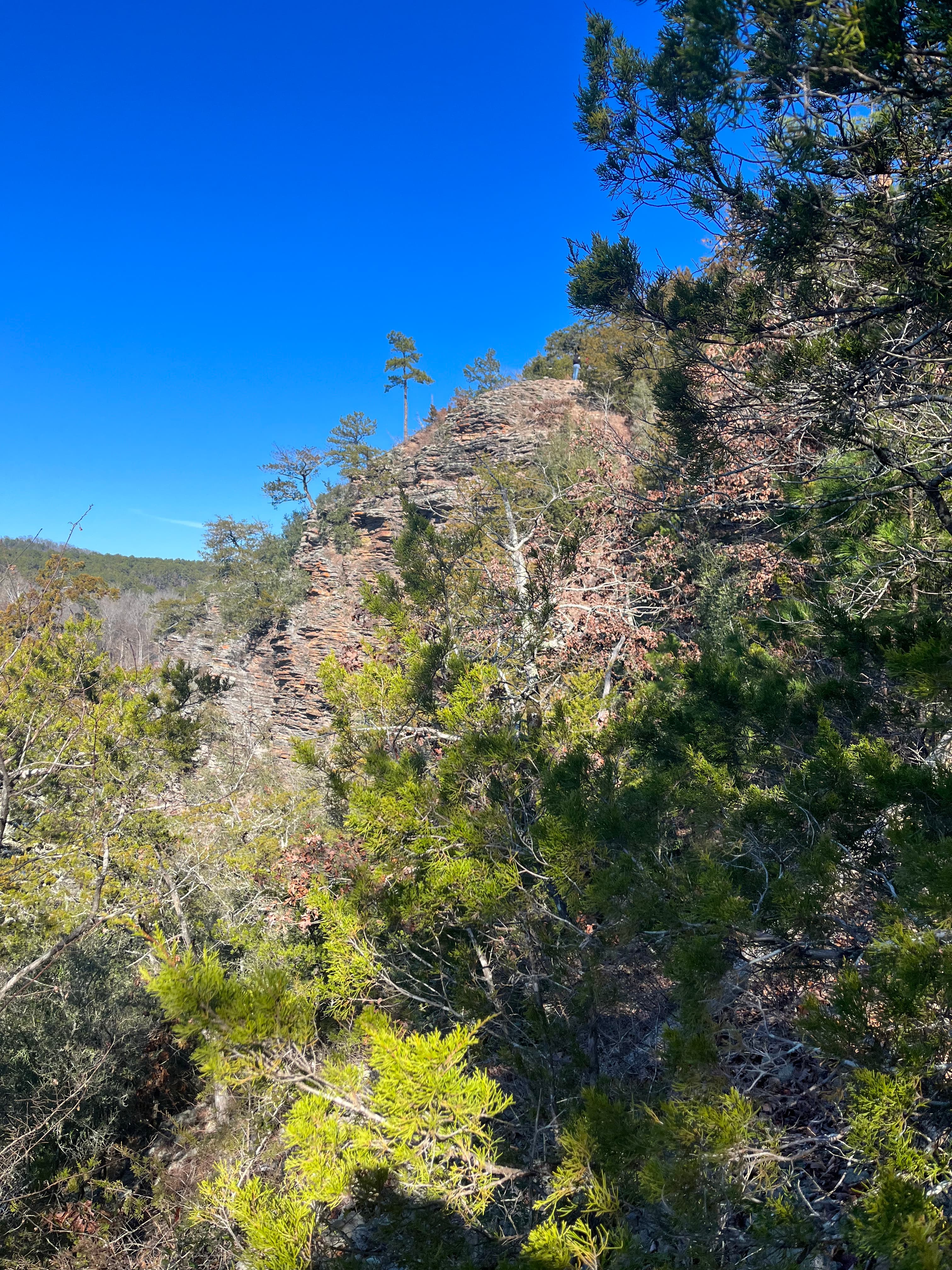 Cedar Bluff Nature Trail photo 2